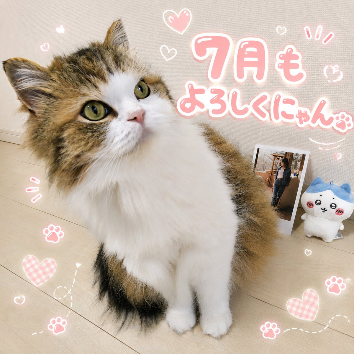 おはようにゃん🩷 大好きな7月☀ 早く夏が来ないかな🌻 どんな時も
