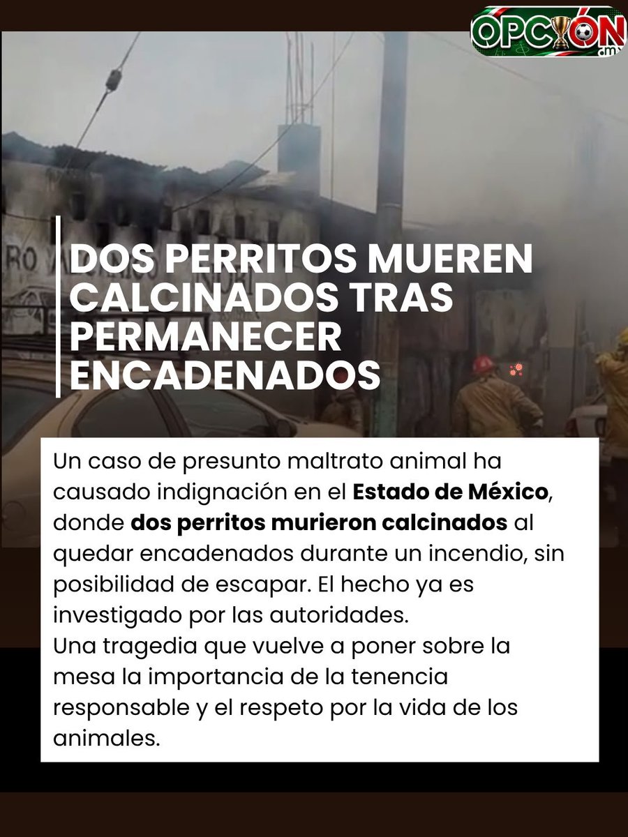 opcion_mx's tweet photo. 🏙️ Metrópoli 🏙️ https://t.co/U8YawLDNXQ