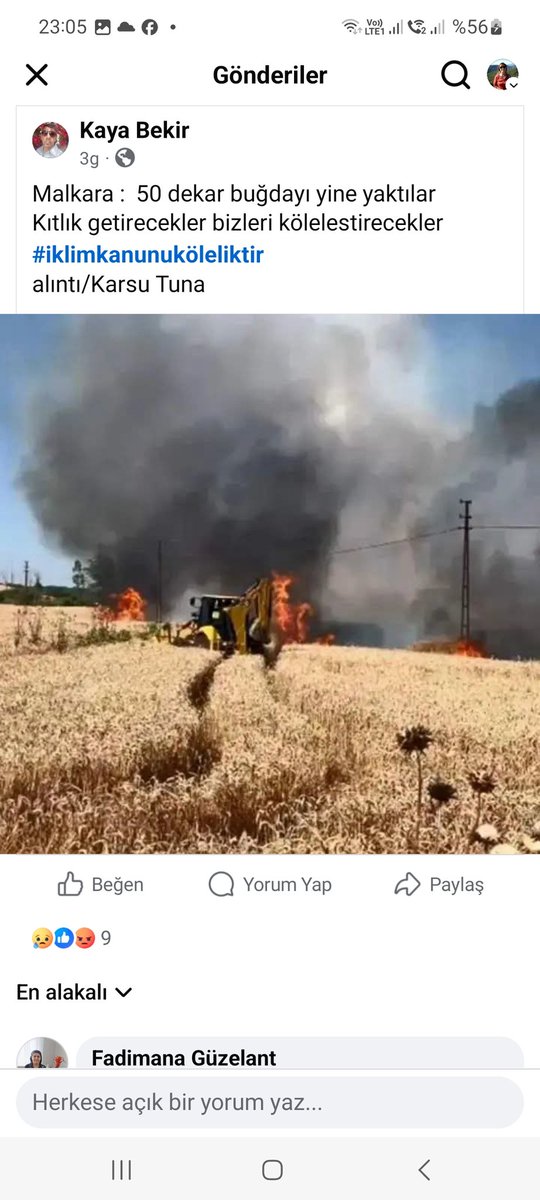 hediyeantalya's tweet photo. Ormanlarımızdan sonra EKİN TARLALARIMIZ da yanıyor.
ABD'de bu yangınlar olmuş, kasıtlı yakıldı diye çok haber çıkmıştı. Aynı tür yangınlar bizde oluyor. Amaç buğdayları yoketmek, halkı açlığa mahkum etmek. LÜTFEN UYANALIM, ORMANLARIMIZA, EKİN TARLALARIMIZA SAHİP ÇIKALIM. https://t.co/dum0l7Vw9S
