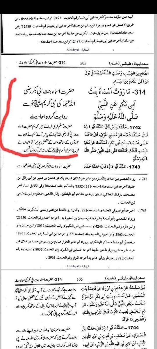 SyedHas34209873's tweet photo. @ZombieScroller @Hassan_alQadri @sneako hey bro look your spirtual Aunt did muttah 🤣 https://t.co/m5Wn5wNtKB
