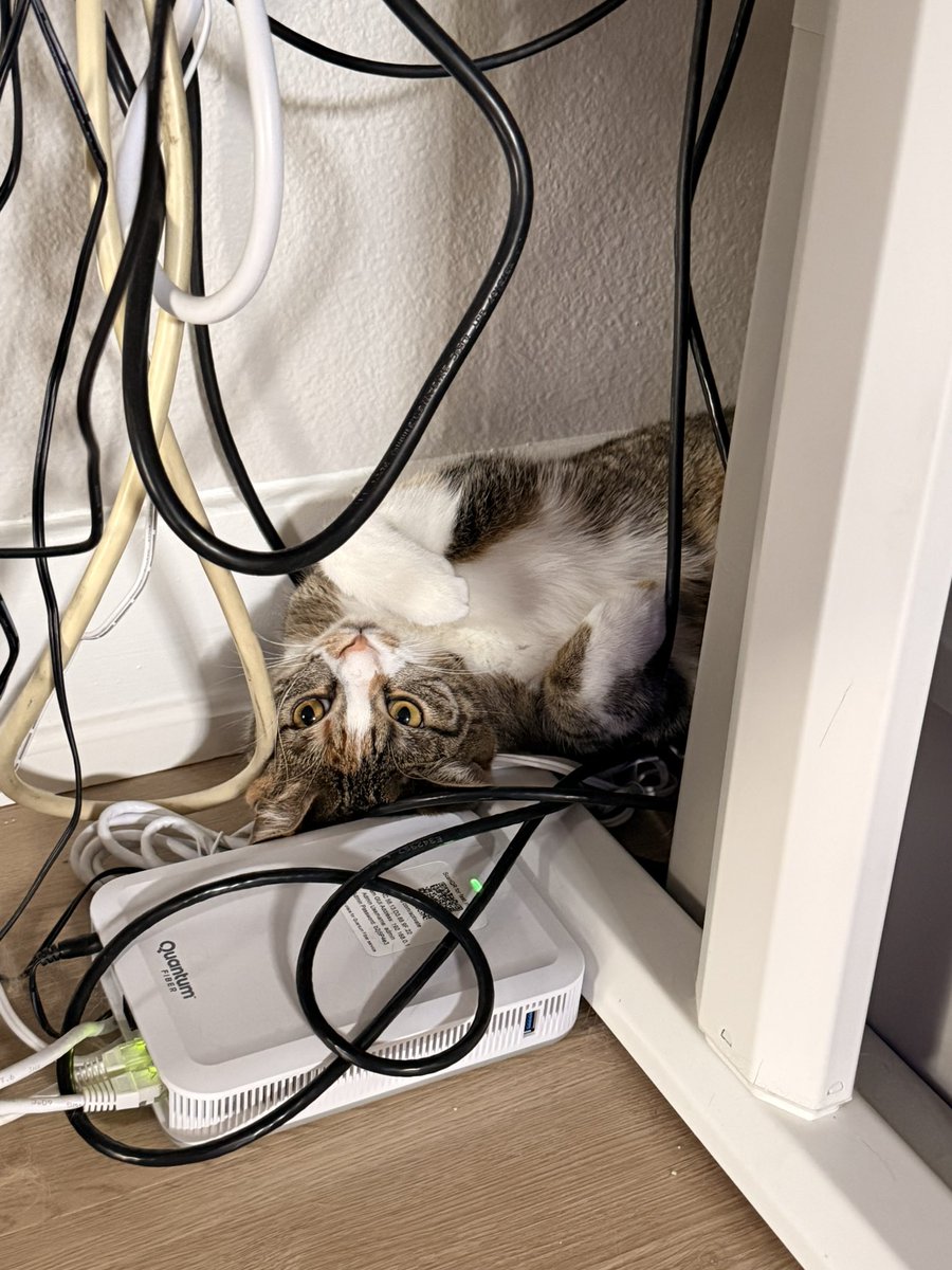 FoxieKT's tweet photo. Current status. Don’t come at me for the wires I just pretend they aren’t there 🙂‍↕️ https://t.co/M7YKBMeSW0