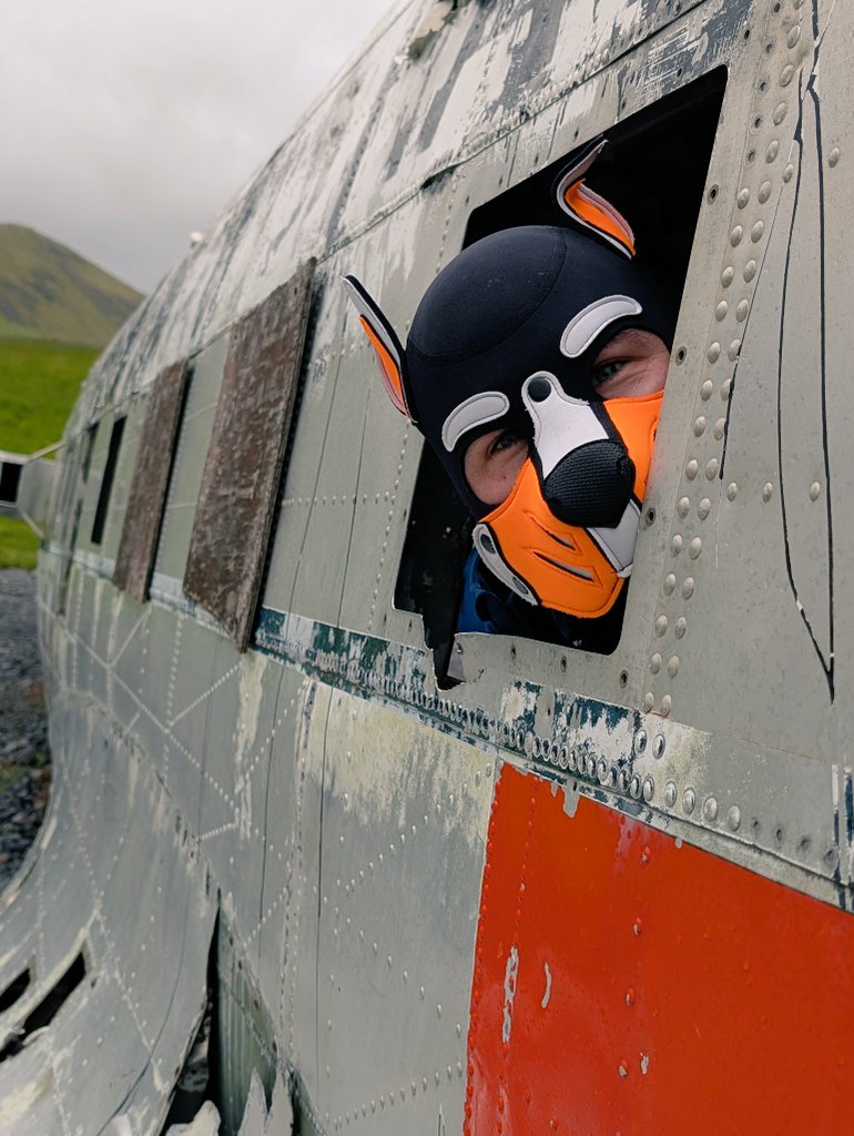 FunkyRider2's tweet photo. 🐾fly with me 🛸🌈 https://t.co/7GzhN3pUos