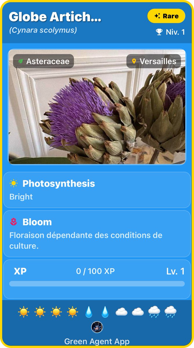 GreenAgentApp's tweet photo. Would you have guessed this is an artichoke? 🌿💜
✨ Rare Globe Artichoke
📍 Versailles
#GreenAgent https://t.co/2udTKhnmEm