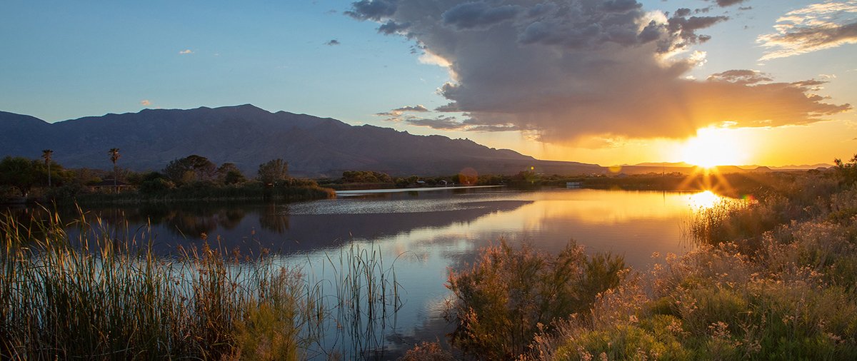 azwater's tweet photo. Roper Lake State Park offers beautiful scenery and wildlife watching opportunities! Start planning your trip today @  https://t.co/YnYW813Aed  #NationalGreatOutdoorsMonth https://t.co/q1l5BgsTrQ