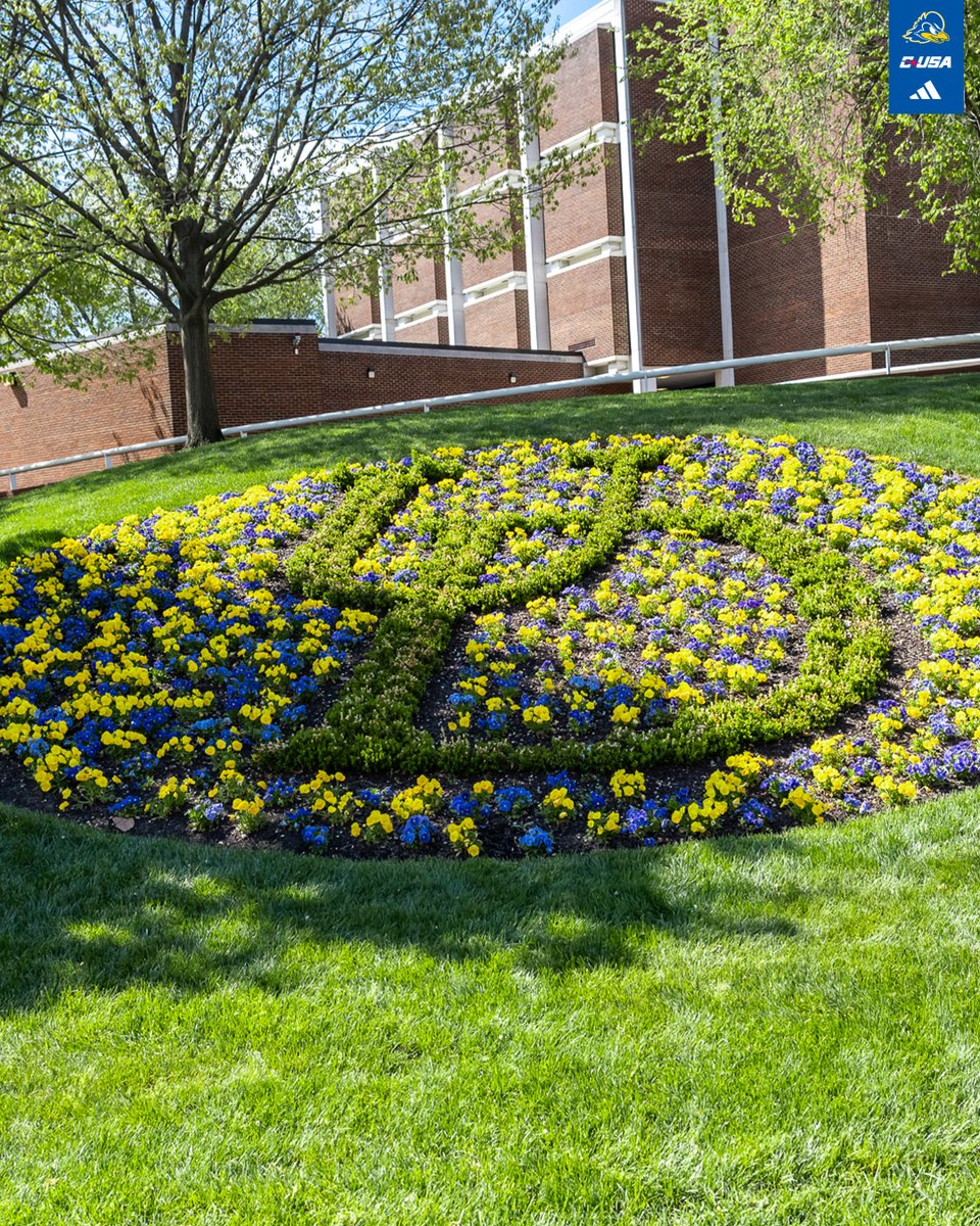 DelawareMGolf tweet picture