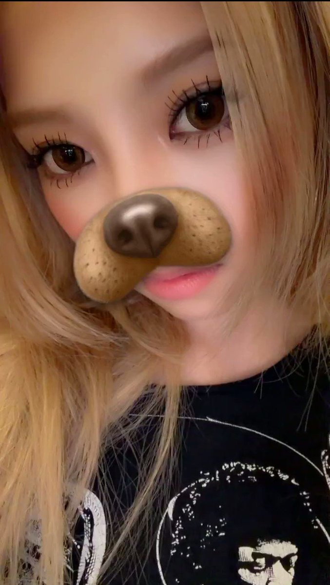 rsebailey's tweet photo. MY BABY 🤏🏻🐶 https://t.co/v4GLgNus3Y