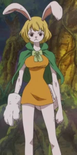 1 pic. Carrot 🥕 One Piece https://t.co/eN5RY41yO1