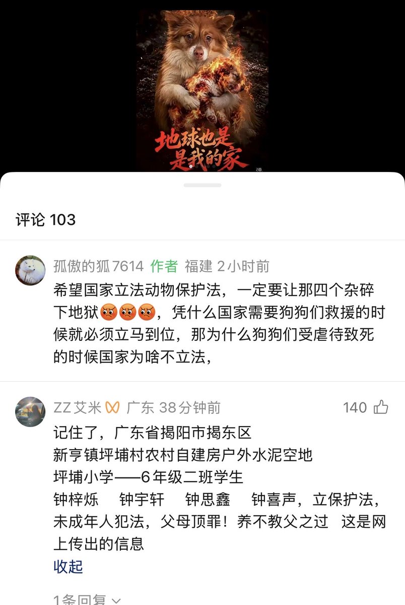 vivilinsv's tweet photo. 今天看到这个新闻，整个心情非常难过 - 广东揭阳4名未满十四周岁的恶魔，用棒棍打死出生不久的小狗们，然后用火点燃他们的妈妈，活活烧死母狗，然后把视频拍摄下来，几个人在一旁拍手叫好。

中国至今没有保护这些小动物的法规，而即便是有，14岁以下的人也会免于惩罚 - 让人对法律的盲区不剩唏嘘和失望。让我想起现在流行的《公民义警》 （vigilant citizen)， 希望公正和正义也会以某种形式出现，让这些恶魔们得到应有的惩罚！