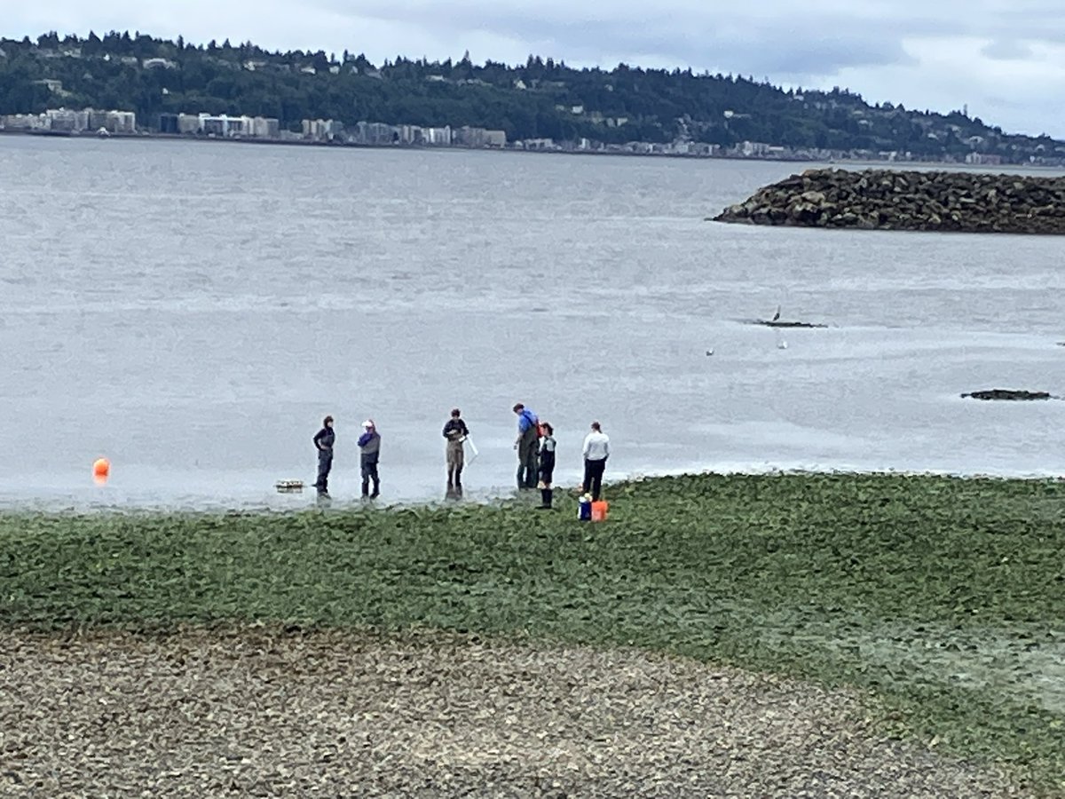 GilliganDJ's tweet photo. My son, the marine biologist💙🌊 https://t.co/IzrzIOdGvf