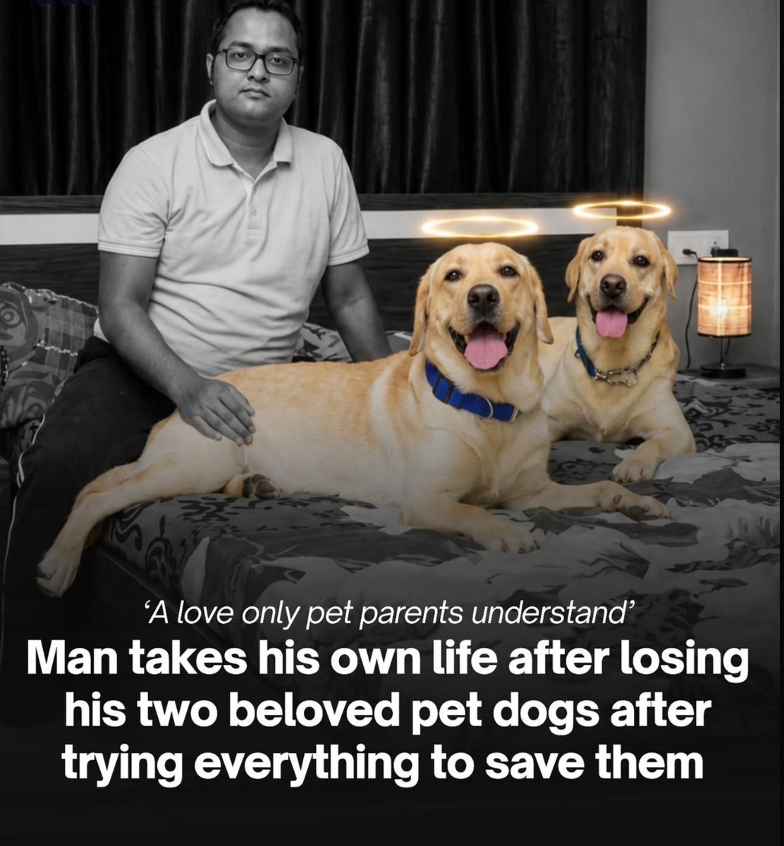 Puppieslover's tweet photo. https://t.co/41ziPi89c2
