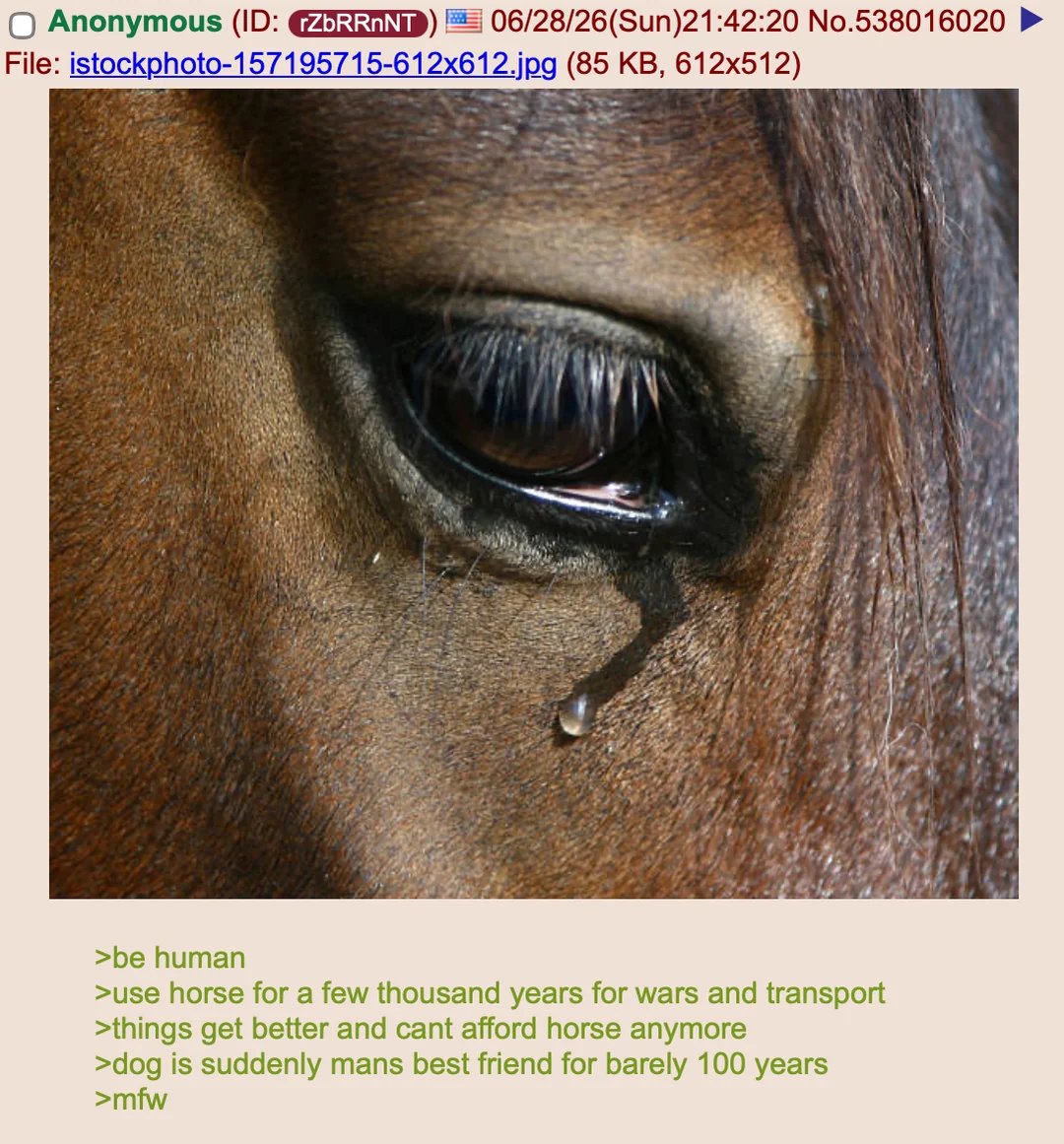 Greentext Poster tweet media