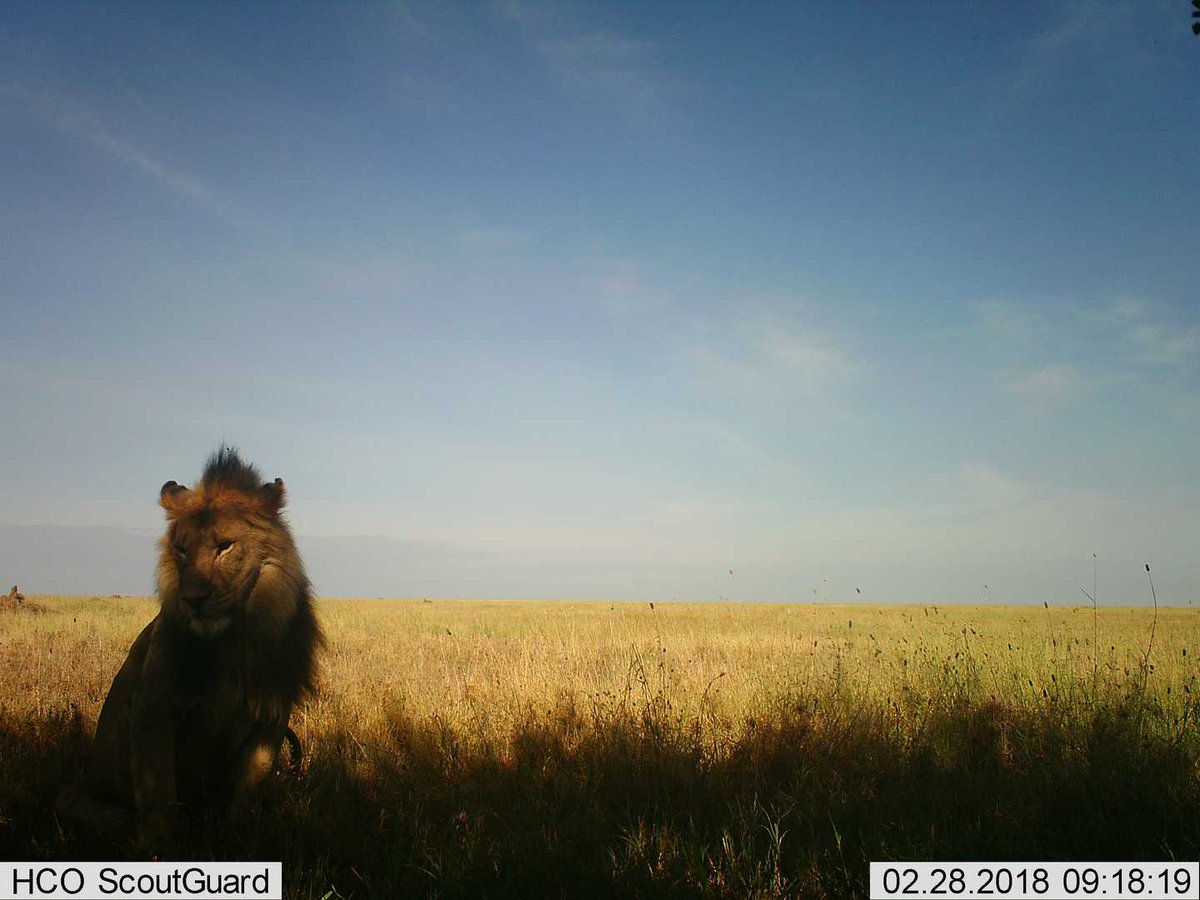 Trail_Cams's tweet photo. https://t.co/XemFcjhcPA
