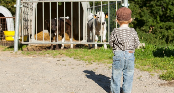 msa_armorique's tweet photo. ⚠️ À la ferme, protégeons nos enfants 🚸 !

Au début des grandes #vacances, synonymes de retrouvailles en famille, la #MSA d’Armorique souhaite à nouveau sensibiliser les exploitant(e)s agricoles sur les risques d’#accident sur les lieux de travail.

👇
https://t.co/xchuUOiZe4 https://t.co/4lcl79ZxZX