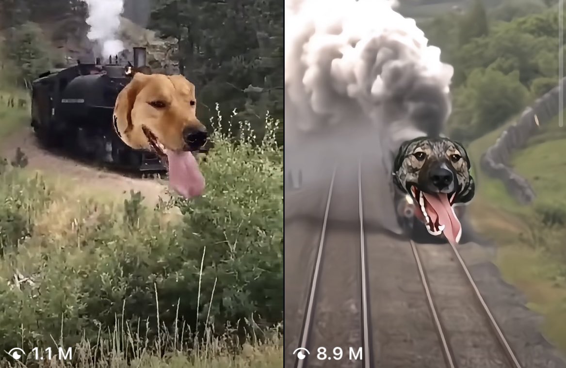 Planedog tweet media