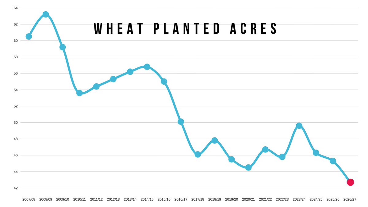 MarketMinuteLLC's tweet photo. Updated Acres 🚜 

Corn 🌽 
Down 3.5 million from last year’s record 98.8. The current 95.3 would still be the 4th largest ever (Behind 2025, 2013, 2012)

Soybeans 🌱 
Up over 4 million from last year’s 6-year low. The current 85.4 would still be the 5th lowest in the last decade

Wheat 🌾
Today’s 42.7 million would firmly be the lowest of all-time by a sizable margin

***
Try our daily grain marketing updates & signals for free
👉 https://t.co/JvQ1KIpXXU