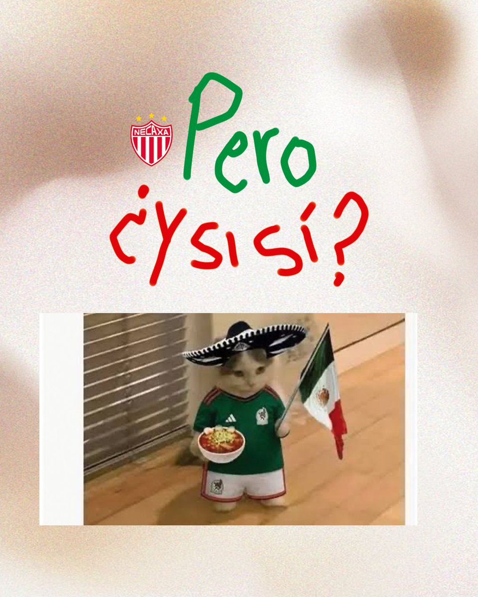 ClubNecaxa's tweet photo. Actualización:
Creo que hoy no vendrán los diseñadores.

La situación está bajo control. 🎨🇲🇽 
VAMOS @miseleccionmx 💚🤍❤️ #YSiSí #SomosMéxico https://t.co/GlStnv2bnM