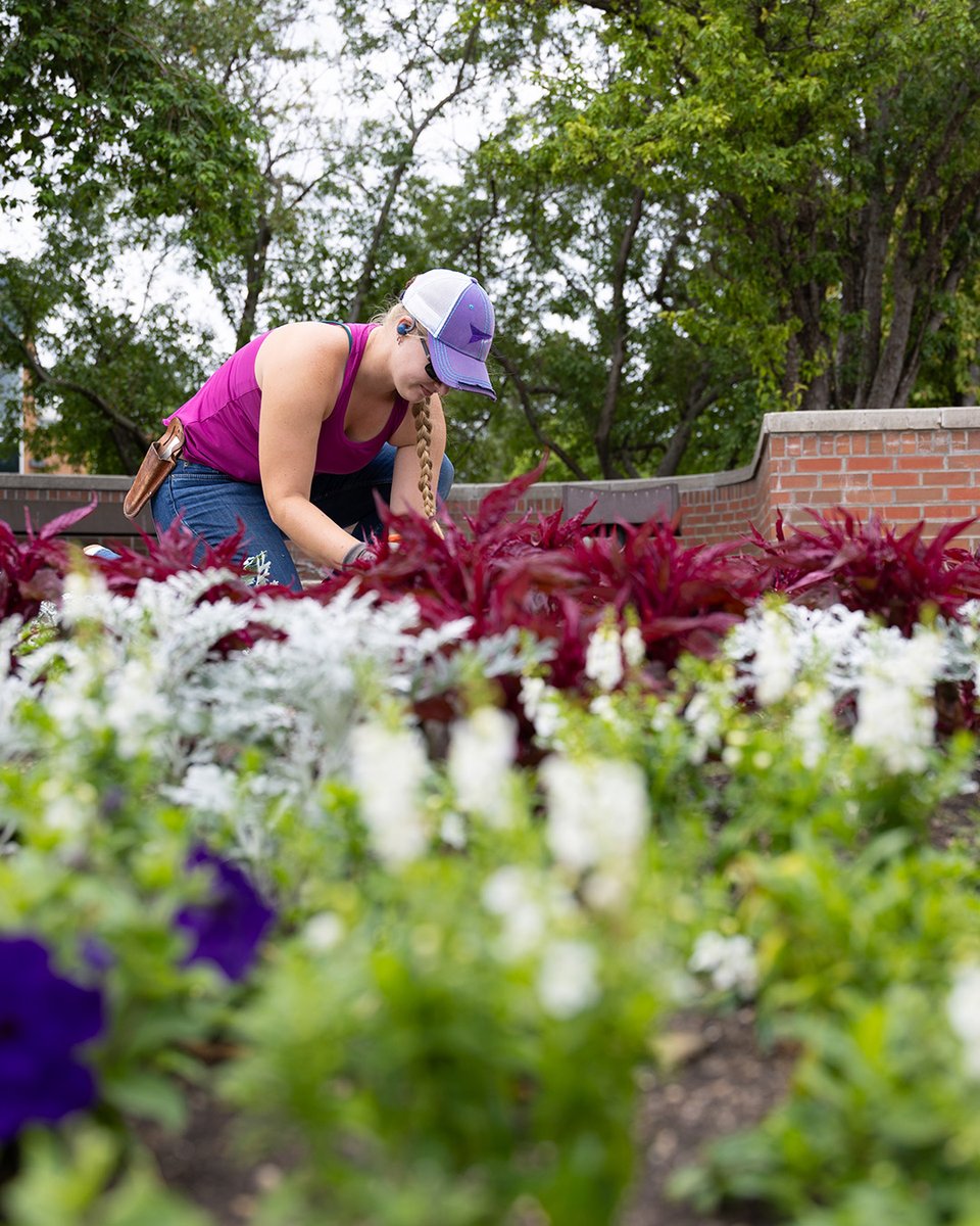 South Dakota State University tweet media