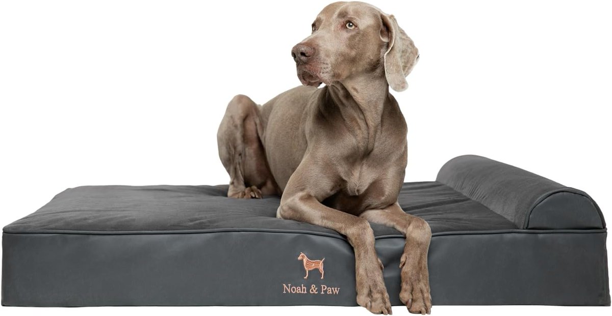 FatKidDeals's tweet photo. XL Orthopedic Dog Bed, $52! Use code; 26K57NPGG 
https://t.co/ww5LikDXzU https://t.co/lGaJQuAREw