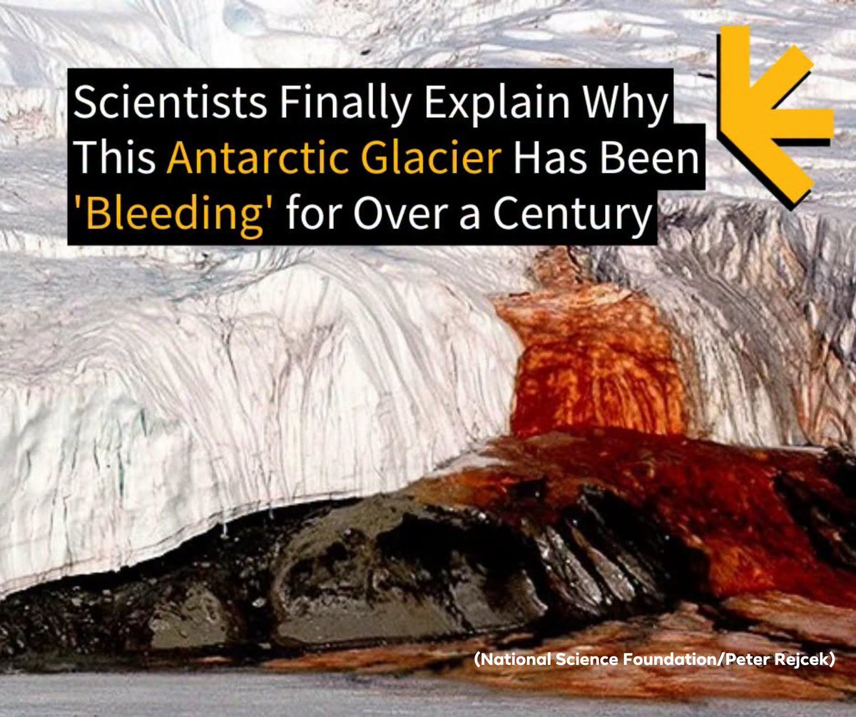 ScienceAlert tweet picture