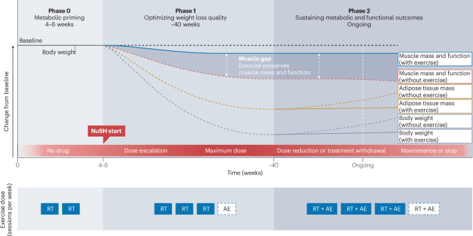 NatureRevEndo's tweet photo. New content online: Strengthening the metabolic alliance: exercise as an essential partner of obesity pharmacotherapy https://t.co/Rm2pPgJz3y https://t.co/mlO7q8WvtY