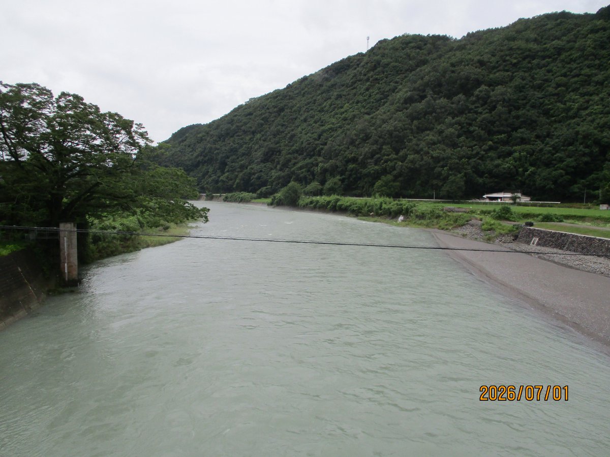 739Yu's tweet photo. 2026/07/01㈬　雨☔️23℃
水量：多め　濁り：茶濁
もう外出は諦めてふて寝してる猫キタ🐈 https://t.co/aHxzeHj4kF