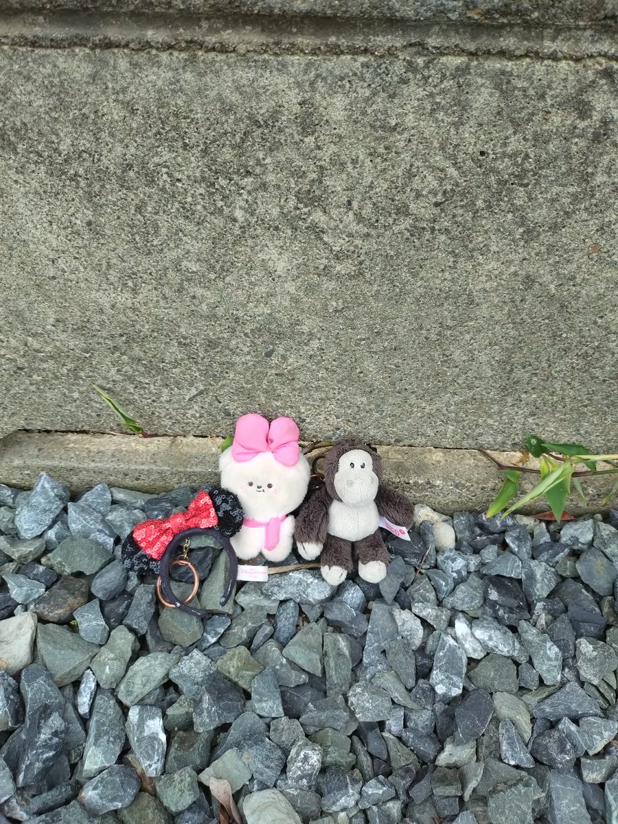 shanshan1114's tweet photo. #川越市民に届け！
川越市駅からお風呂屋さん行く途中に落ちてたよ！
持ち主さん！この子達寂しがってるよー！
 #落し物
 #ぬいぐるみキーホルダー https://t.co/XayMf0V6WX