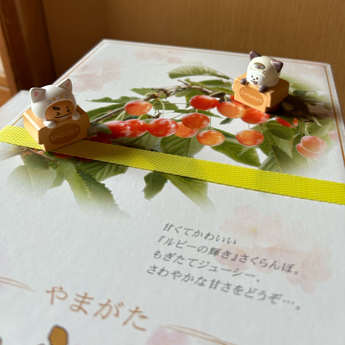 bouquet013's tweet photo. @Jyoko76481421 さんちのさくらんぼ第二弾、紅秀峰が到着🤭✨
大きくて濃厚な甘さでこれも美味しい〰️🍒
今回もたくさん、日にちも日程調整してもらって本当に感謝です🤩🙏
これからyokoさんちの果物三昧🍐🍏🍎末永くよろしくお願いします🥰
@youko4258 https://t.co/J5KjkXzydo