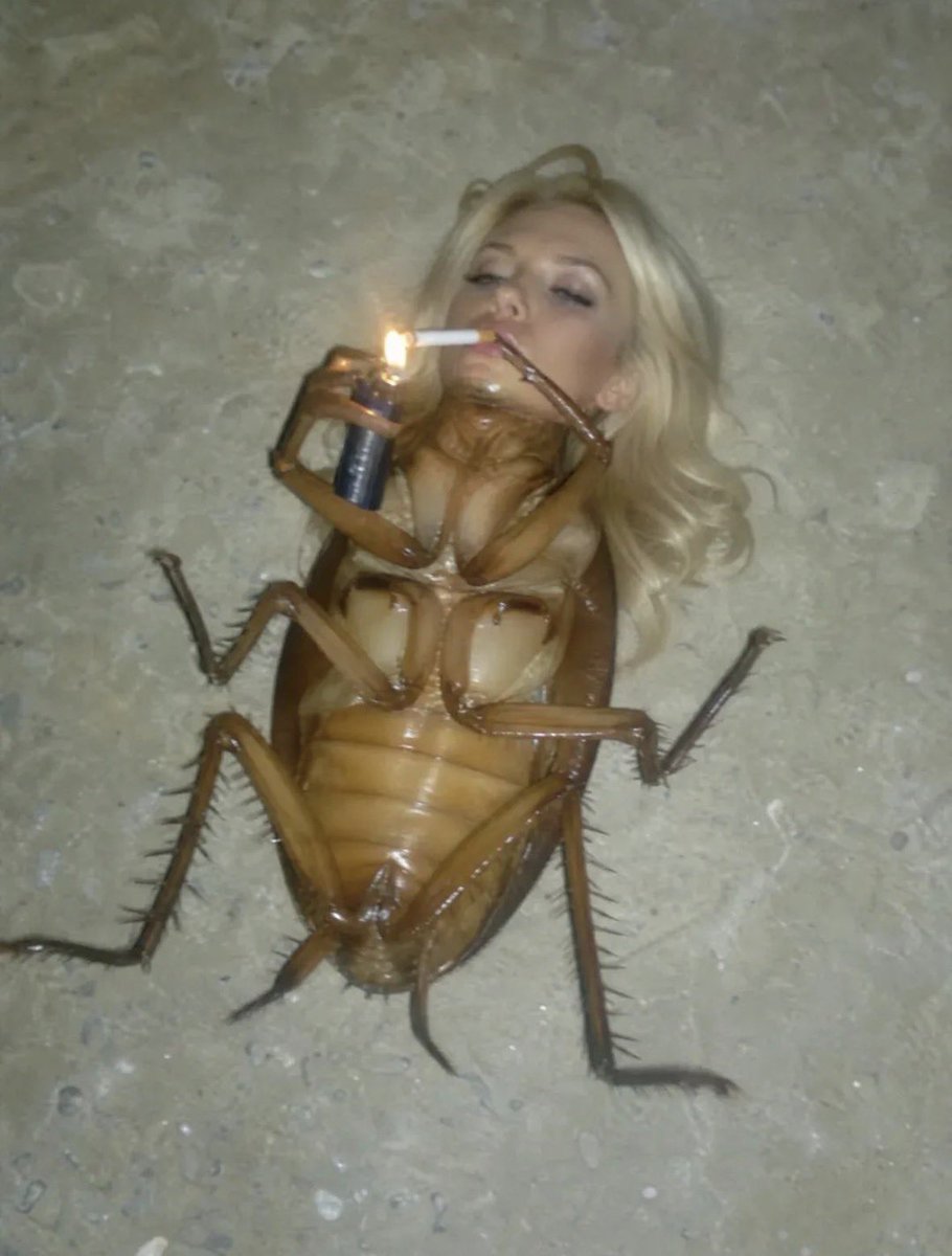 rapemycorpse's tweet photo. Me https://t.co/5UYNXJp8eR