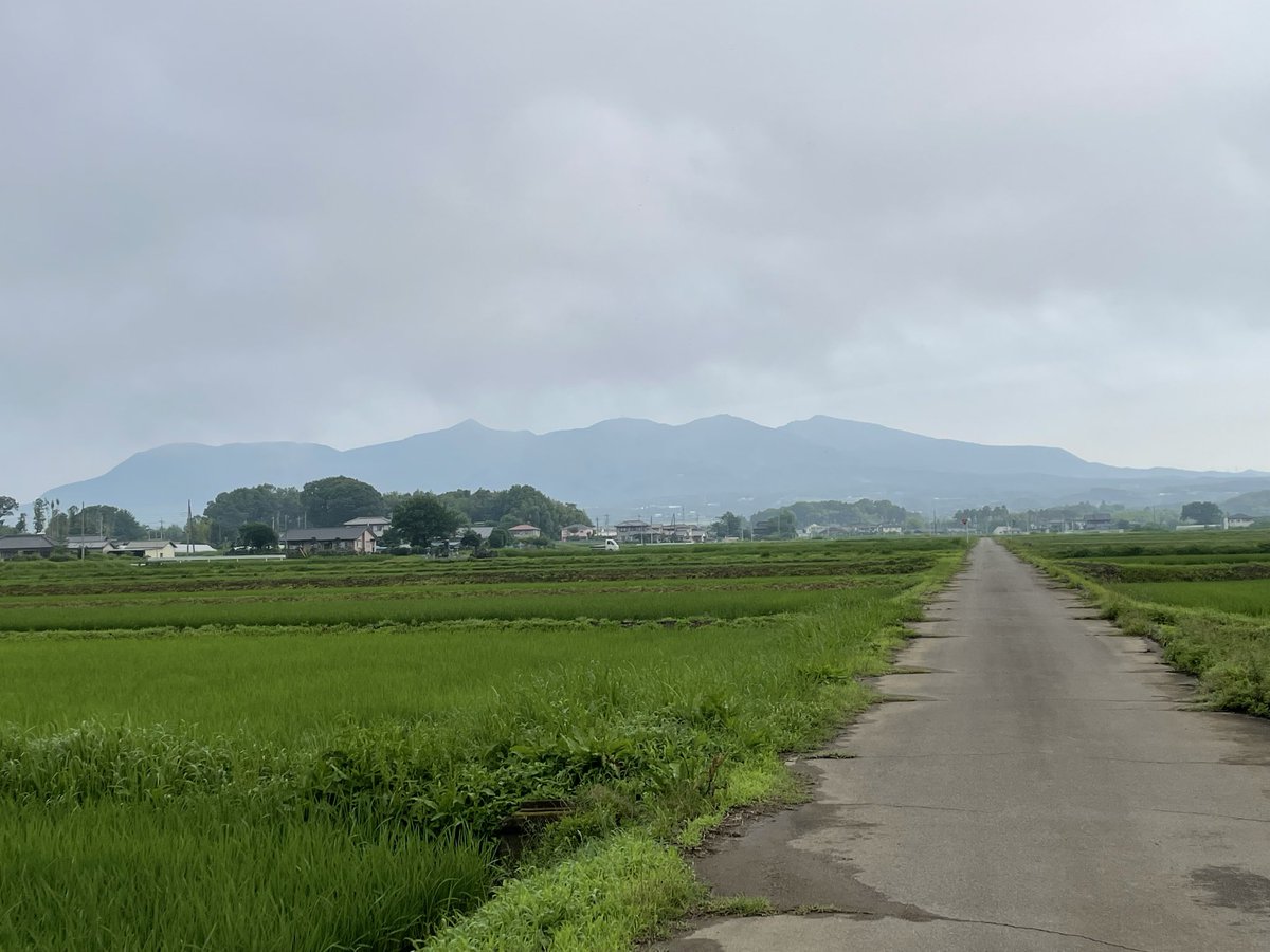 skyriverAMA's tweet photo. おはようございます😃
本日も曇り🌥️ でも、薄い雲☁️の
裏側から、強い日差しが届き始め
ました
昨夜は、雷雨⛈️が降って
その分、涼しい朝です

赤城山⛰️さんも、雲☁️に囲まれて
いますが、墨色の姿が見えています https://t.co/tgD76sIeVi