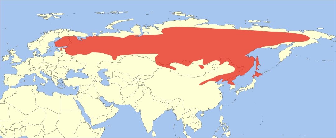 tacidem_'s tweet photo. I live in Germany. This must be some kind of russian spy. https://t.co/jOmvKiO9Vk