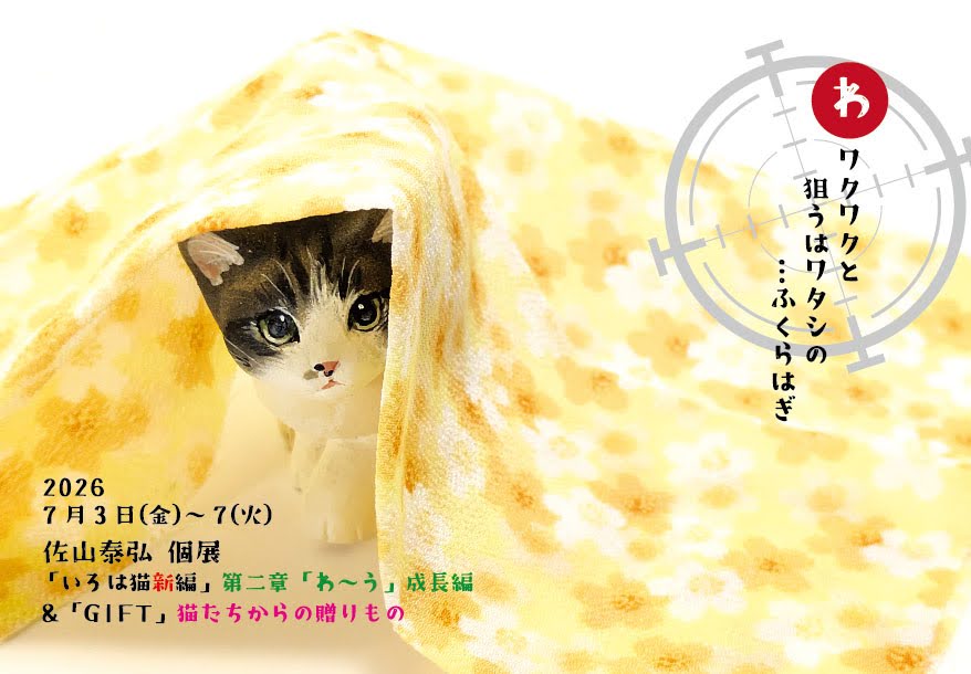 nekonohikidashi tweet picture