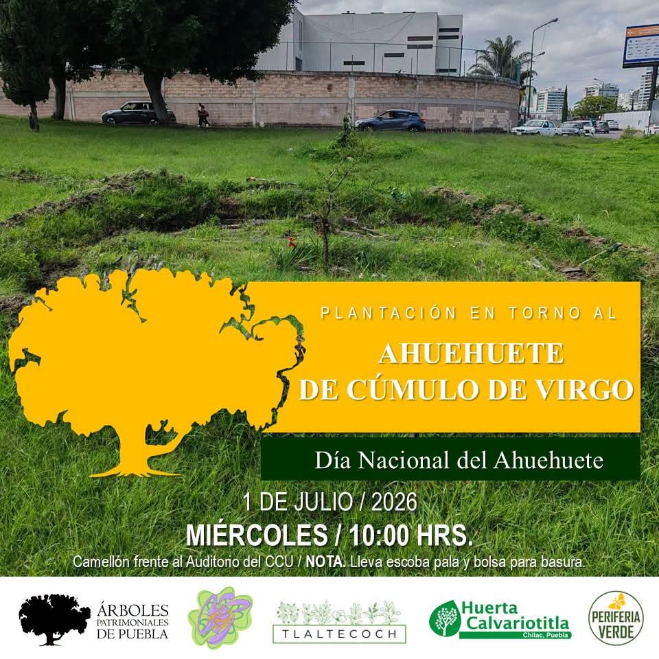arboles_puebla's tweet photo. Acompáñanos mañana en la plantación en torno al #AhuehuetedeCumulodeVirgo.
A un año de su plantación y en el marco del #DíaNacionalDelAhuehuete.

#8Aniversario #ÁrbolesPatrimoniales #ÁrbolPatrimonialConmemorativo
#Puebla #IniciativasCiudadanas #EspacioPúblico #ÁreasVerdes https://t.co/1dwlj3hmuX