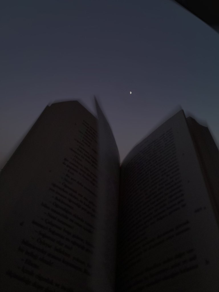 ellycross_'s tweet photo. —— Every writer is, above all, an attentive observer. #creators #books #writers https://t.co/lBHL8FrKE9