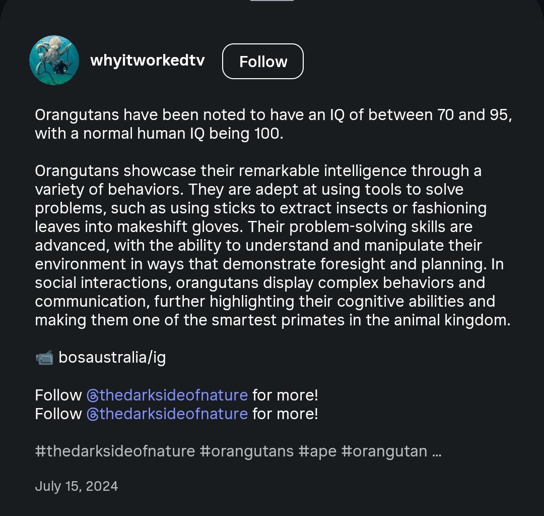 ObservantEntity's tweet photo. @aslicheen Indian native dravidian culture is just eating and bathing in cow 💩, so beautiful dances like this logically can only be imports from aryan persian invaders who've colonized india, as the dravidians themselves has an avg iq lower than that of a literal 🐒 https://t.co/d2PP54YIvf