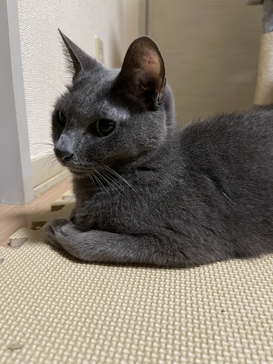 ♡よーにゃんさまご確認用♡ おはよう𝙒𝙚𝙙𝙣𝙚𝙨𝙙𝙖𝙮♡♡ 今日から7月ですね！ みなさん