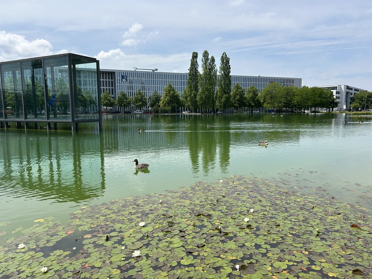DeasyPamela's tweet photo. #Day181 of #200daysofwalking 

Another day with over 20k walked 👟

#Munich #Germany  #ESMO https://t.co/2eURbay1ax