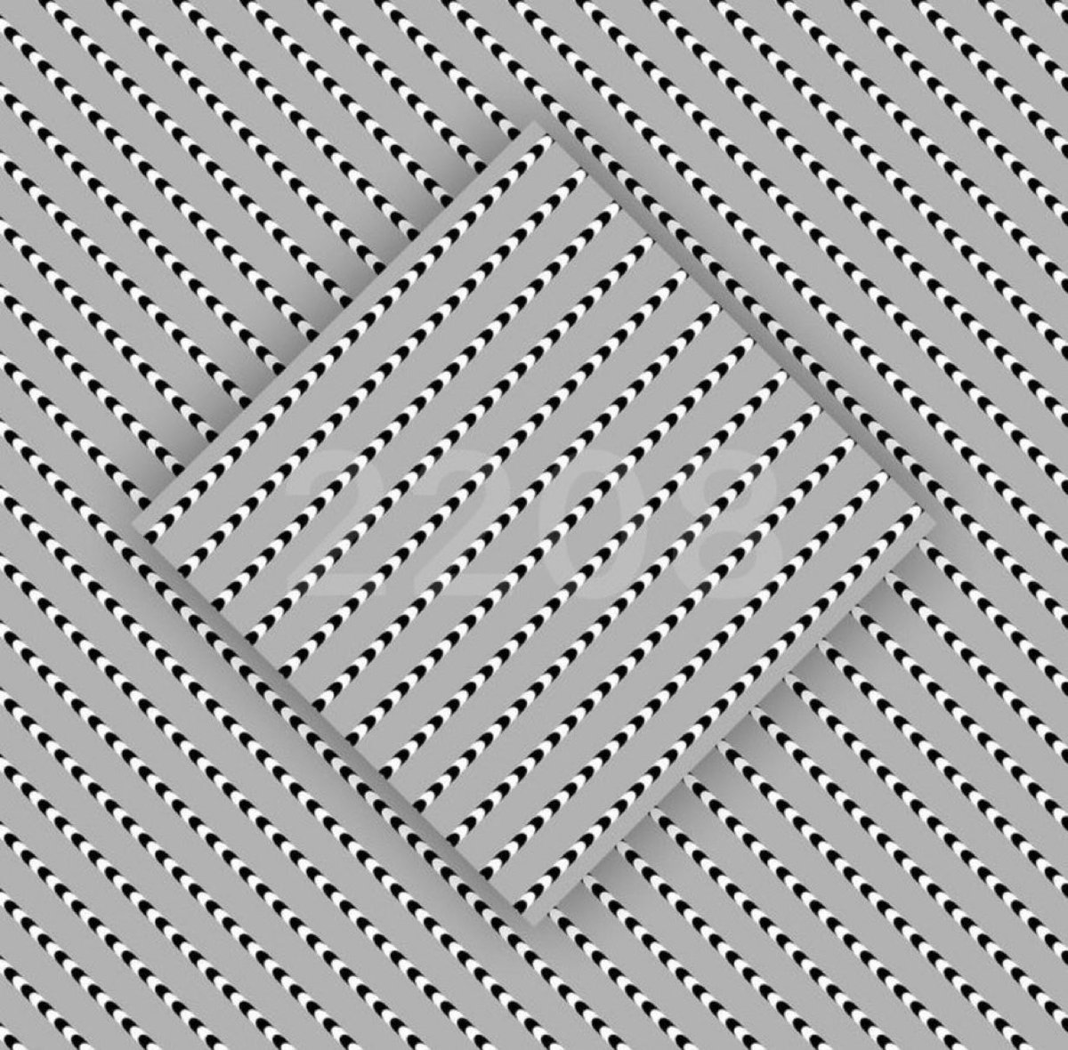 Haya Malik tweet media
