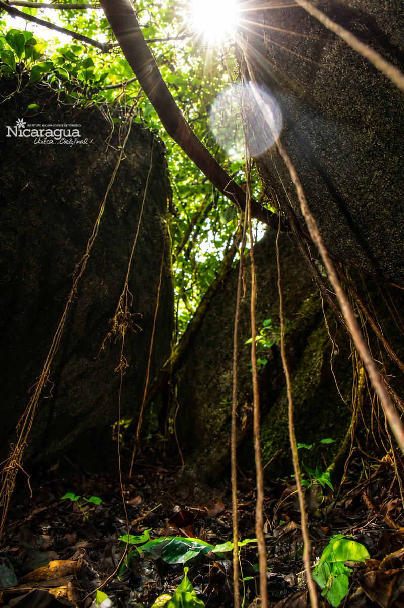 InturNvaSegovia's tweet photo. Cuevas de Agua Sompa, en las serranías de Macaralí, municipio de Jalapa 🛘🌲 

#NicaraguaÚnicaOriginal https://t.co/DXWWF6x0pm