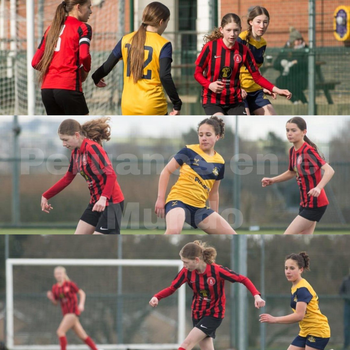 peruanos_mundo's tweet photo. #ScoutingFPF
➡️Micaela Jobling (2012)🇵🇪🏴
➡️Nació en Inglaterra (Chesterfield)
➡️De madre peruana
➡️Jugará en Junior Blades U15.
➡️La temporada empieza en Setiembre.
➡️Posición: Extrema izquierda / delantera
➡️Anterior equipo: Dronfield Town https://t.co/V8plyyg3o0