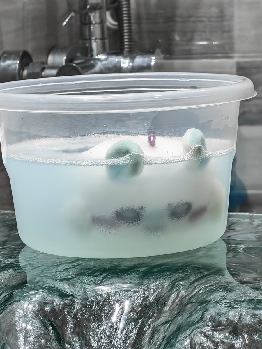 rinnsmol's tweet photo. I'm washing my Momonga Keychain/plushie and laughing my ass off JASHAJSH https://t.co/AJ9I1l80YC