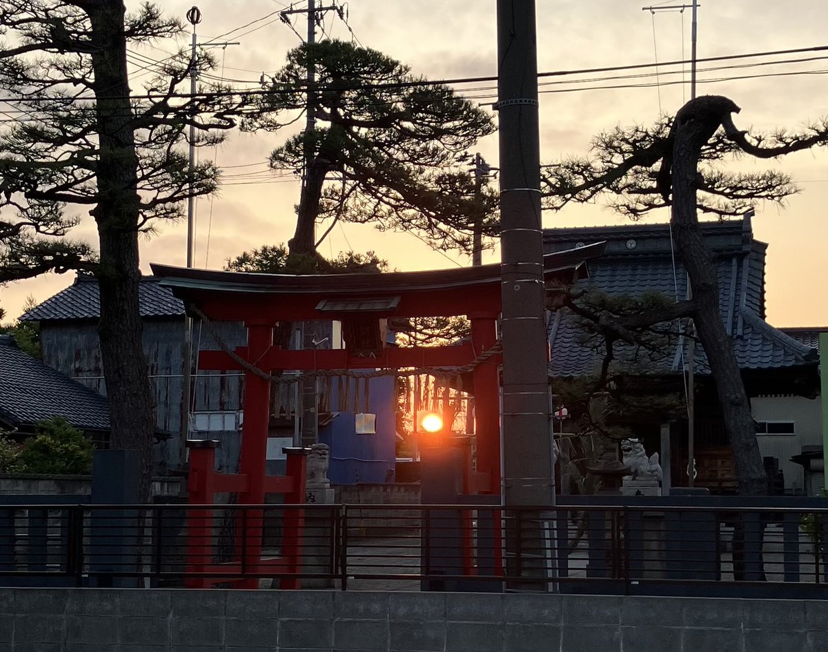 up_kenjo's tweet photo. 今日から7月がスタートですね！
今朝の日課のウォーキングでは、地元の神社へ。鳥居の真ん中から綺麗な朝日が見えて、すごくエネルギーをもらえました。清々しい気持ちで今月も頑張れそうです。
みなさんは今朝、朝日を見られましたか？今月もよろしくお願いします！
#今日から7月 #ウォーキング #朝活 https://t.co/coHbGmfT71