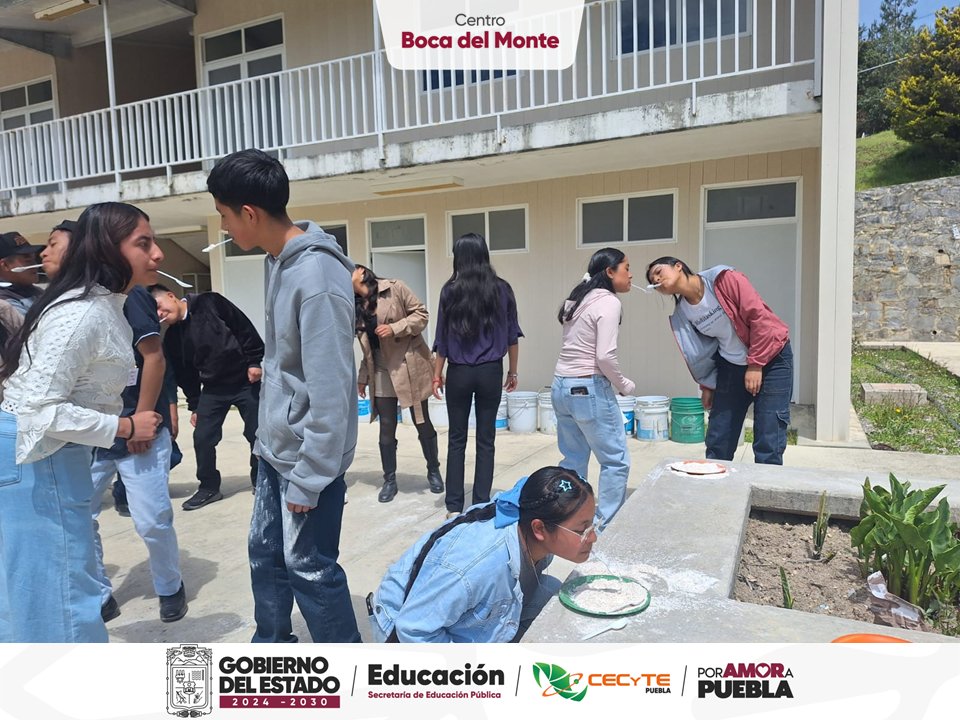 EMSaD_BM's tweet photo. Cada estudiante representa sueños, esfuerzo y la esperanza de construir un mejor futuro. Por ello, en el Centro EMSaD Boca del Monte celebramos con gran entusiasmo el Día del Estudiante.
¡Feliz Día !
#PorAmorAPuebla #CECyTEPuebla #HazloEnGrande https://t.co/c6wDELHPLn