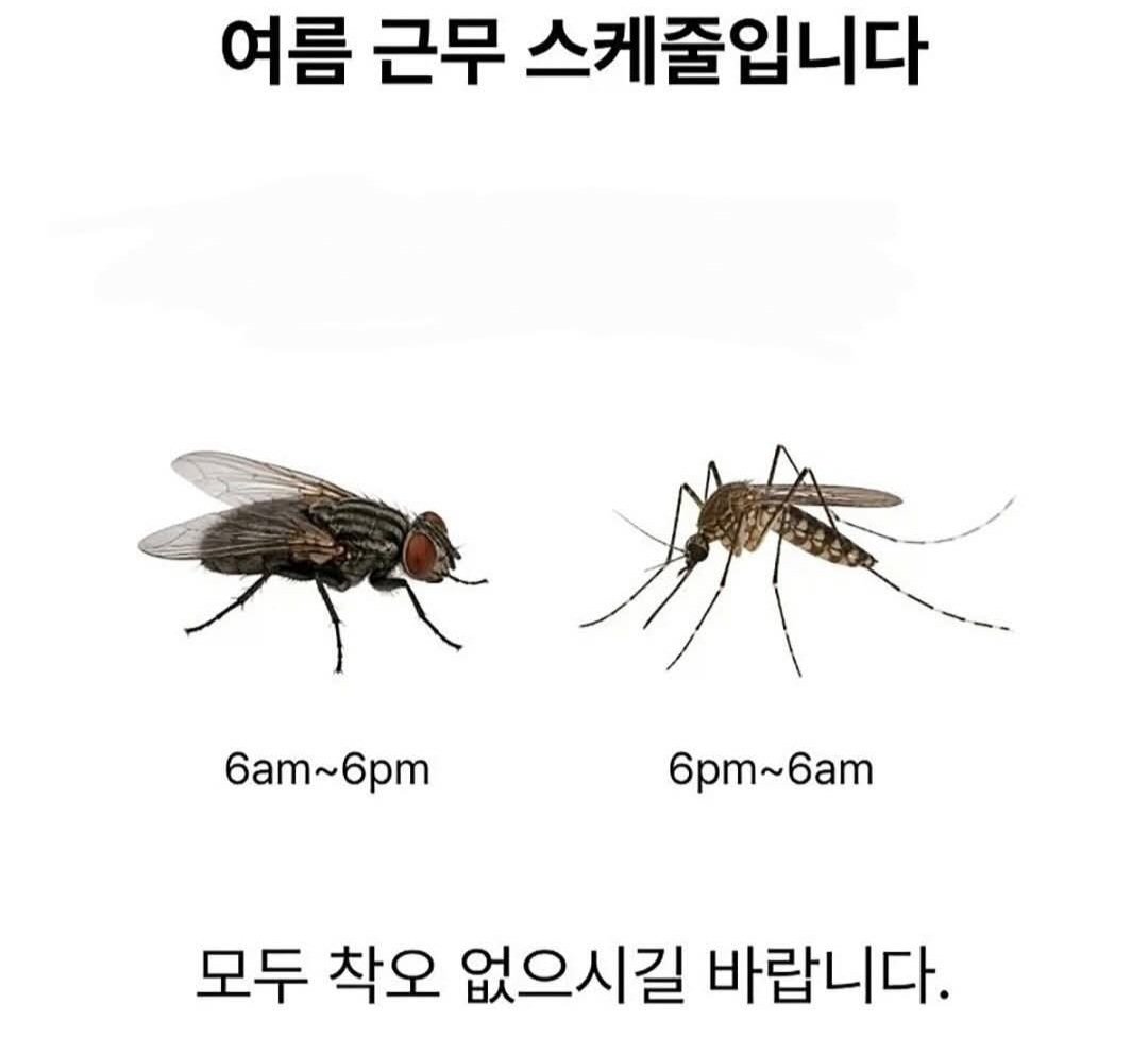 AltoBot's tweet photo. 여름 근무 스케줄 입니다

모두 착오가 없으시길 바랍니다 https://t.co/YzPzZt65N7