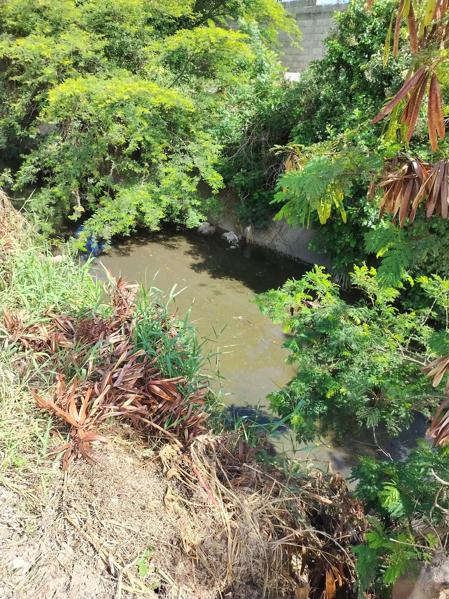 colsmanuel's tweet photo. Sin barandas, con cloacas y losas de fondo fracturadas en canal de drenaje Patarata - Las Trinitarias   en Barquisimeto. https://t.co/sNQtJ8bZim