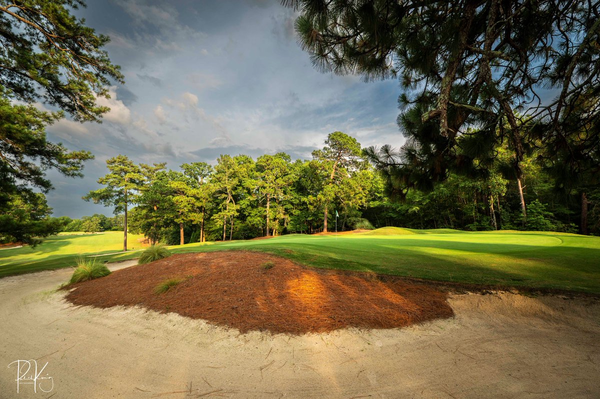 patrickjkoenig's tweet photo. I had heard some good things about Aiken Golf Club so I decided to pay it a visit. Fun factor is extremely high at this South Carolina Donal Ross gem. https://t.co/RBPtCjkqeO