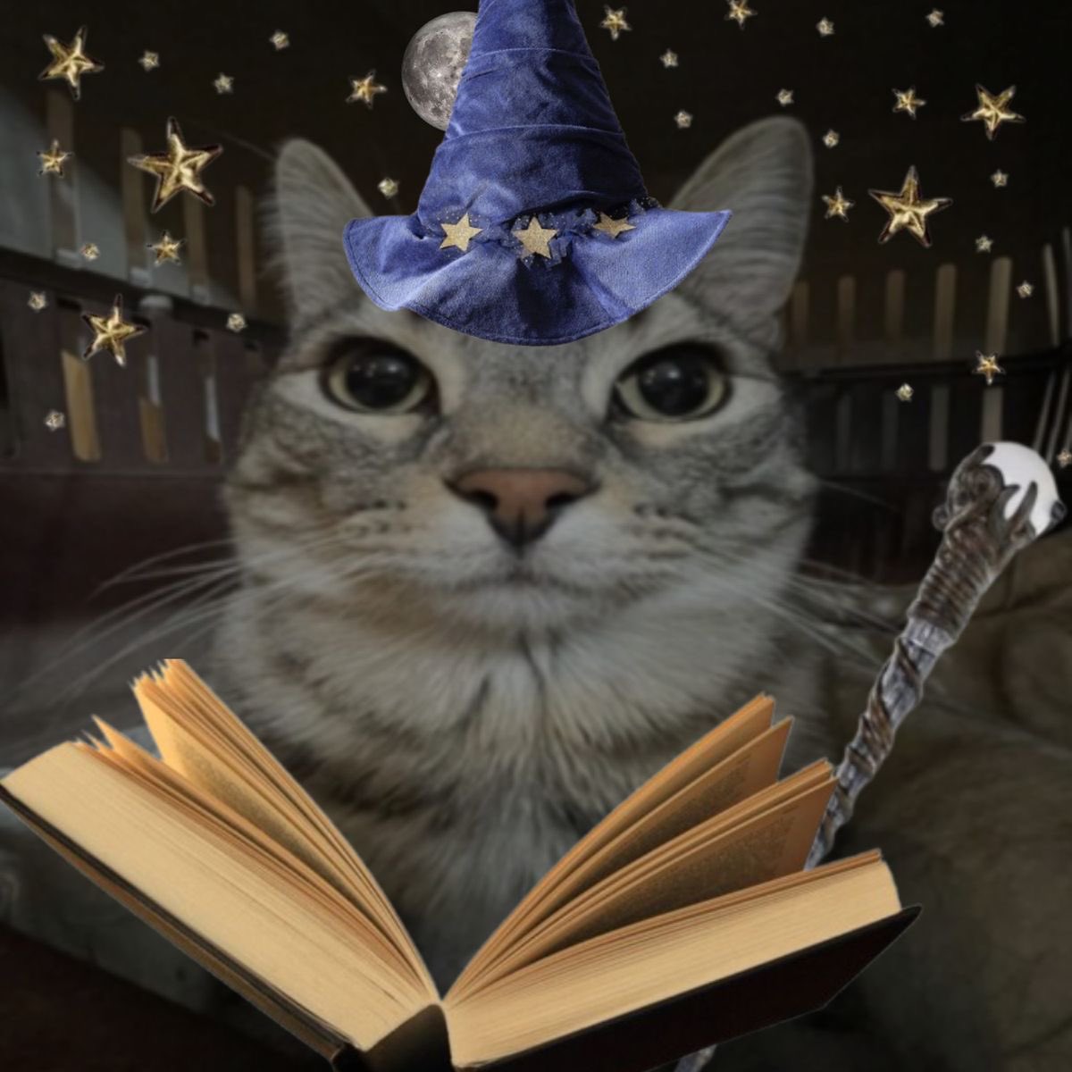 besvittta's tweet photo. Live aberta, hoje vai ser dia de MAGIA! Primeiro vamos começar com Hogwarts Legacy e às 23:00 vai ocorrer o ESPECIAL CINEBESV. Espero a presença de vocês ✨

https://t.co/AQsg7gpNh2 https://t.co/1gJdybAd3l