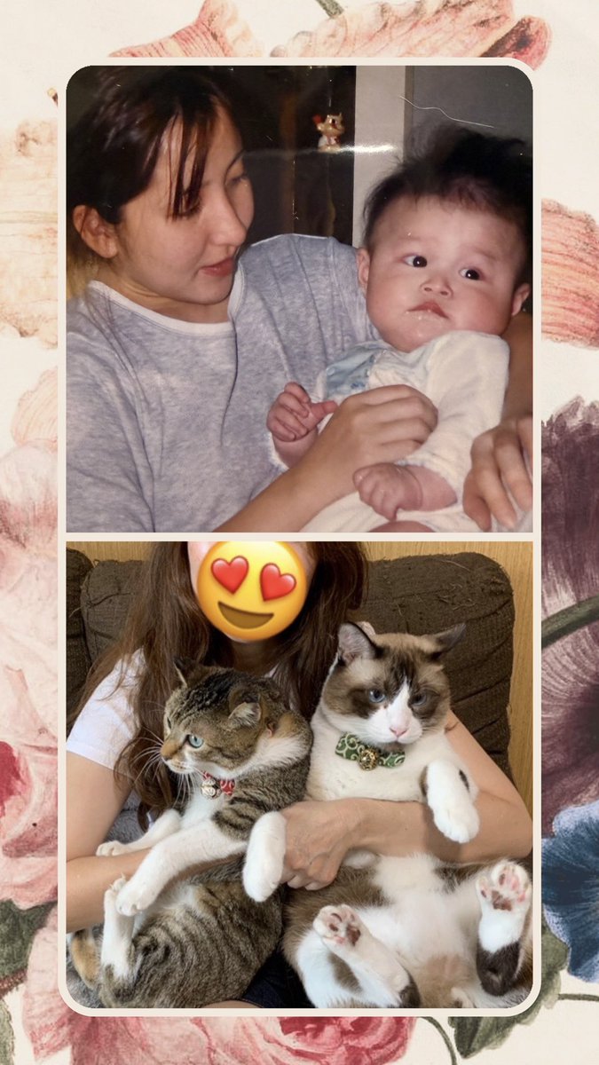 Fukukun115's tweet photo. こんなに小さかった息子がパパになるなんて✨😊
ふ　は「まだまだ自分はヤングかなんかって言ってるけど、「おばあちゃん」にゃんだにゃぁ😹」

ふくはちはおじさんになるねぇ笑笑！！
楽しみです💕🤩
しかしおばあちゃんて、、、笑笑

今月もよろしくお願いします🥰 https://t.co/tWd9fcg9hJ