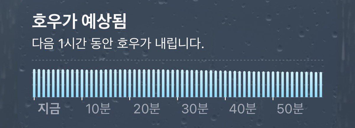 진유 tweet media