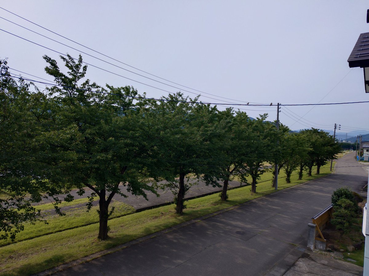 golfninjya's tweet photo. 朝〜♪
☁曇ってます！
今日は☁曇り時々☀晴れの予報です。😕
最高気温は昨日よりやや高い29℃の予報です。😣 https://t.co/CGXhIHFsWX