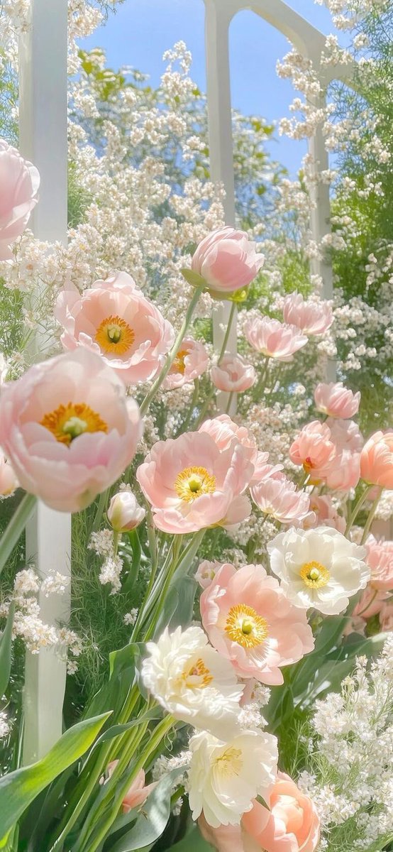 JA_quip's tweet photo. 🎟️✨ Hello, July — 🤲🏻🌷

ขอให้เดือนกรกฎาคมใจดีกับทุกคนนะ 🤍
ขอให้เราได้เจอเรื่องดี ๆ คนดี ๆ และโอกาสดี ๆ
ขอให้ทุกวันเต็มไปด้วยรอยยิ้ม ความสุขเล็ก ๆ และความอบอุ่นในหัวใจ

ขอให้ทุกคำอธิษฐานค่อย ๆ เป็นจริง
และได้พบกับเวอร์ชันที่มีความสุขที่สุดของตัวเอง

ขอให้เดือนนี้อ่อนโยนกับหัวใจของทุกคนเสมอนะ — 🎀🌈🍅